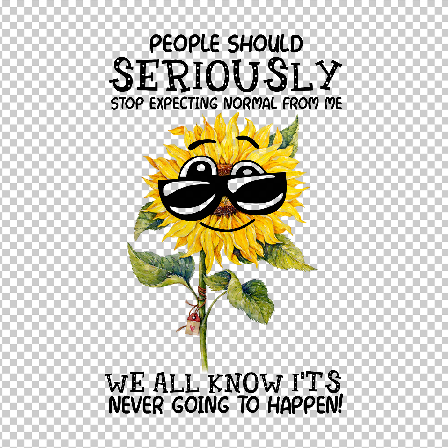 SUNFLOWER 4