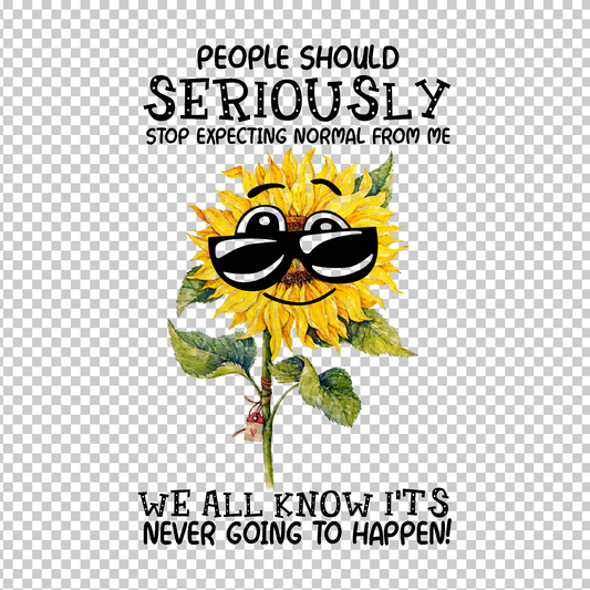 SUNFLOWER 4